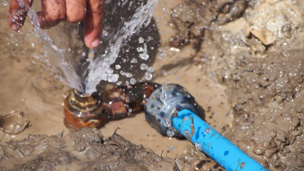 A person uses a hose to pour water into a hole, likely for gardening or maintenance purposes.